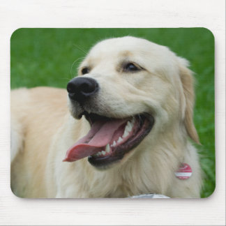 Sweet Friendly Labrador Mouse Pad