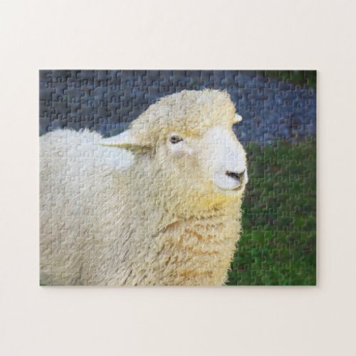 Sweet Friendly Sheep Jigsaw Puzzle