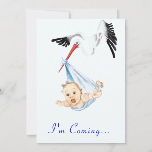 Sweet Funny Stork Baby Shower Invitation