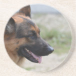 Sweet German Shepherd Dog Drink Coaster at Zazzle