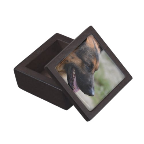 Sweet German Shepherd Dog Jewelry Box