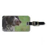 Sweet German Shorthaired Pointer Luggage Tag