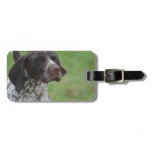 Sweet German Shorthaired Pointer Luggage Tag