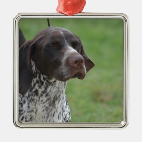 Sweet German Shorthaired Pointer Metal Ornament