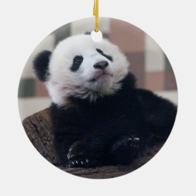 Sweet Giant Panda Baby Ceramic Ornament (Back)