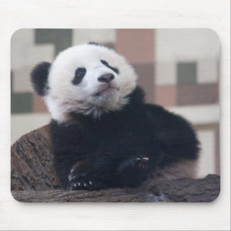 Sweet Giant Panda Baby Mouse Pad