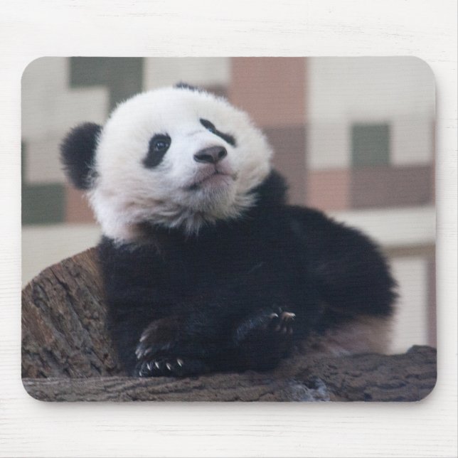 Sweet Giant Panda Baby Mouse Pad (Front)