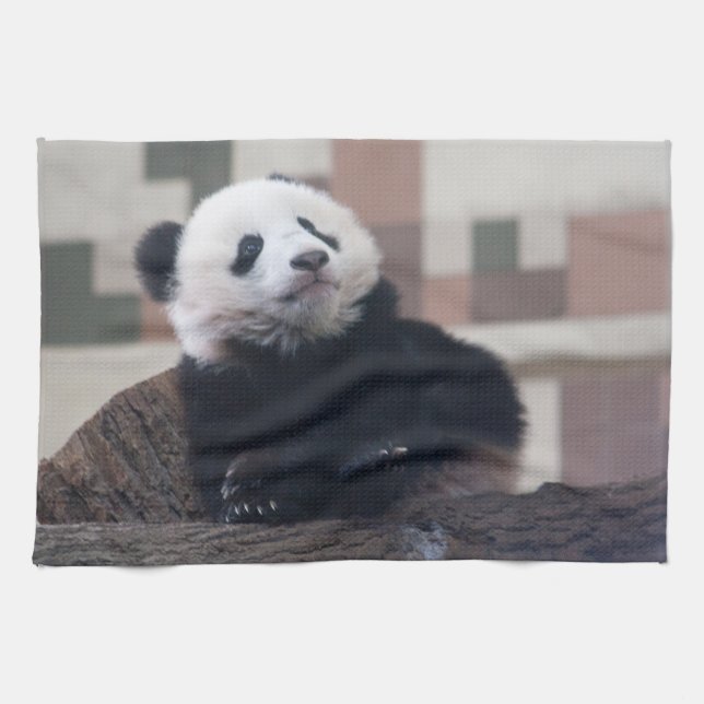 Sweet Giant Panda Baby Towel (Horizontal)
