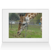 Sweet Giraffe Cards (Inside Horizontal (Top))