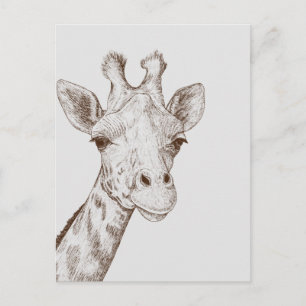 Sweet Giraffe Face Postcard
