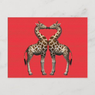 Sweet Giraffes Couple In Love Postcard