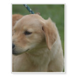 Sweet Golden Puppy Temporary Tattoos