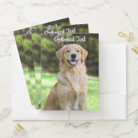 Sweet Golden Retriever Dog