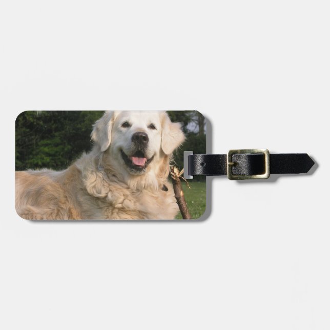 Sweet Golden Retriever Luggage Tag (Front Horizontal)