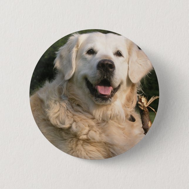 Sweet Golden Retriever Pin (Front)