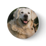Sweet Golden Retriever Pin