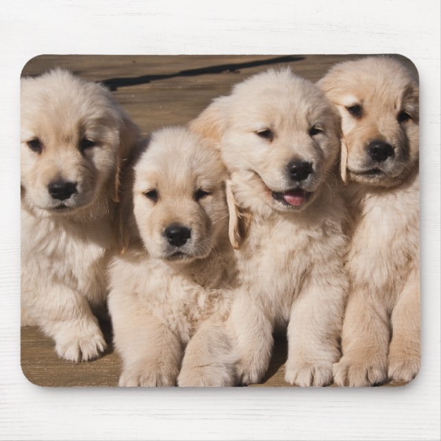 Sweet Golden Retriever Puppies Mouse Pad (Front)