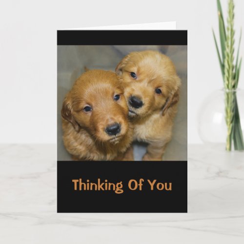 Sweet Golden Retriever Puppies Thinking Of You Card
