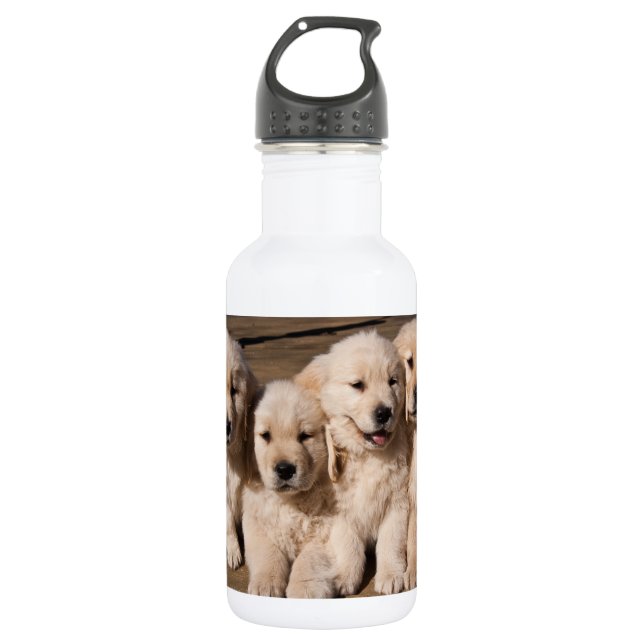Sweet Golden Retriever Puppies Water Bottle (Front)