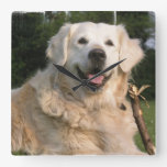 Sweet Golden Retriever Wall Clock