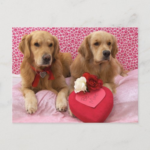 Sweet Golden Valentines Holiday Postcard