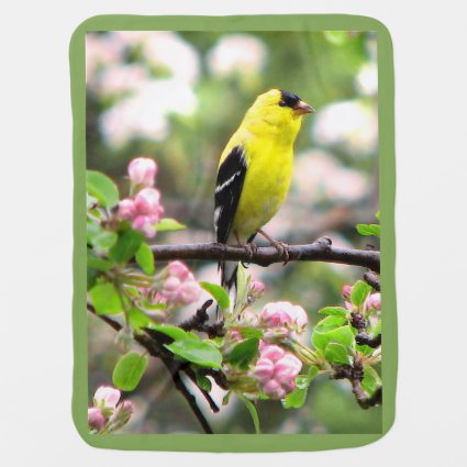 Sweet Goldfinch Bird with Pink Flower Baby Blanket
