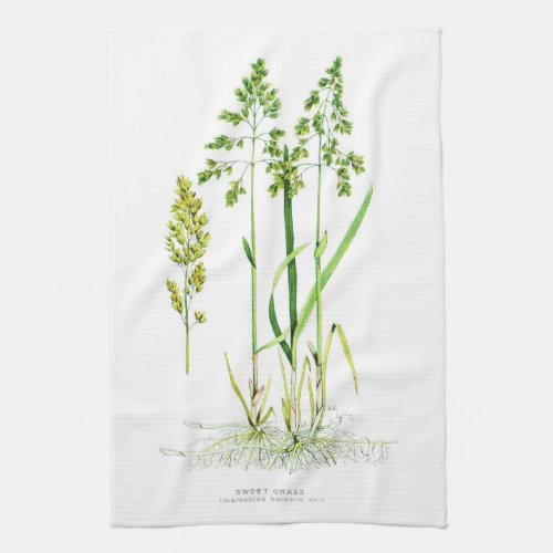 Sweet Grass Botanical Kitchen Towel
