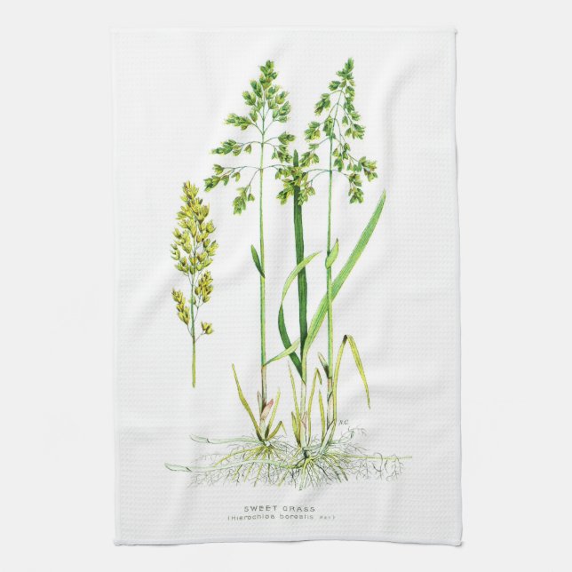 Sweet Grass Botanical Kitchen Towel (Vertical)