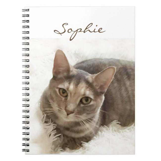 Sweet Gray and Brown Tabby Cat Notebook