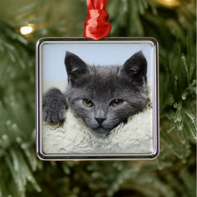 Sweet Gray Cat Face Ornament (Creator Uploaded)