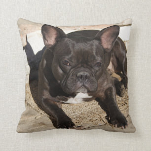 Sweet Grouchy French Bulldog Throw Pillow