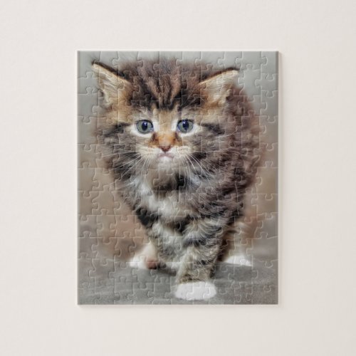 Sweet grumpy Baby Kitten Jigsaw Puzzle