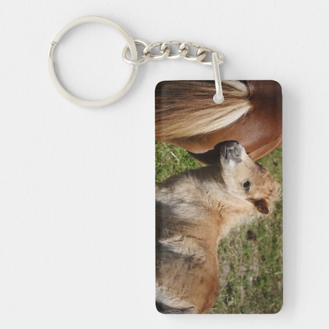 Sweet Haflinger Foal Keychain (Front)