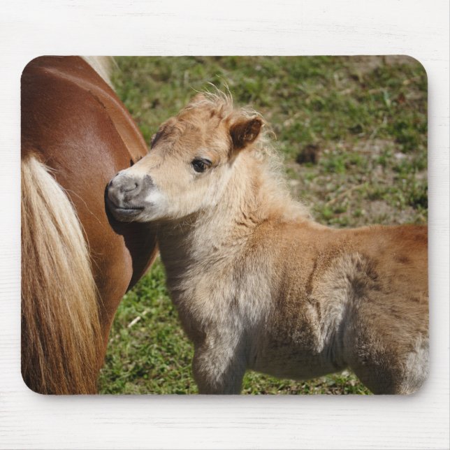 Sweet Haflinger Foal Mouse Pad (Front)