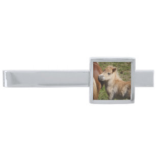 Sweet Haflinger Foal Silver Finish Tie Clip