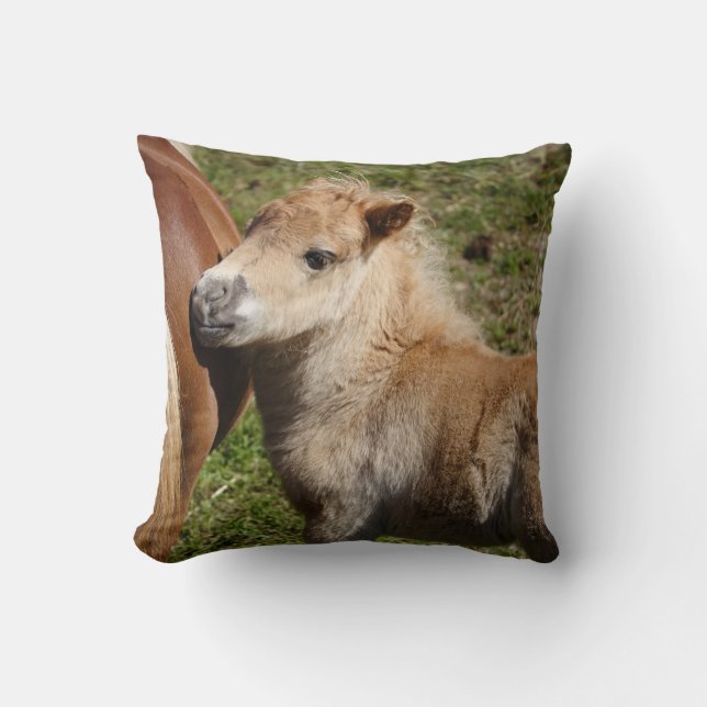 Sweet Haflinger Foal Throw Pillow (Front)