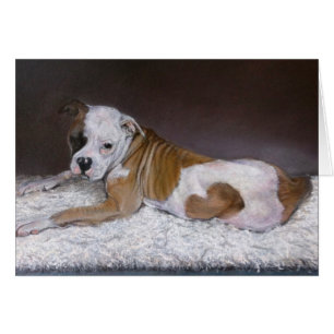 Sweet Heart, American Bulldog Cards