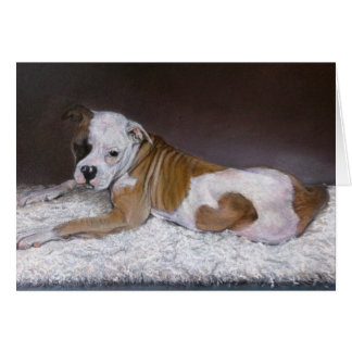 Sweet Heart, American Bulldog Cards