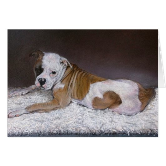 Sweet Heart, American Bulldog Cards (Front Horizontal)