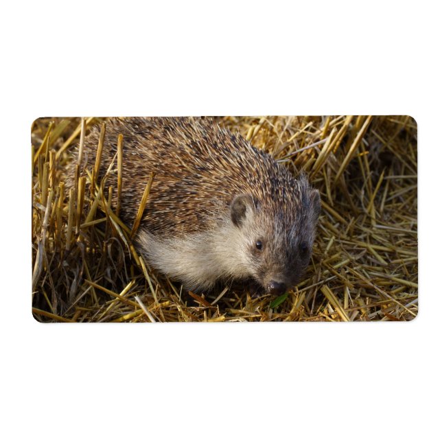 Sweet Hedgehog In Stubble Field Label (Front)