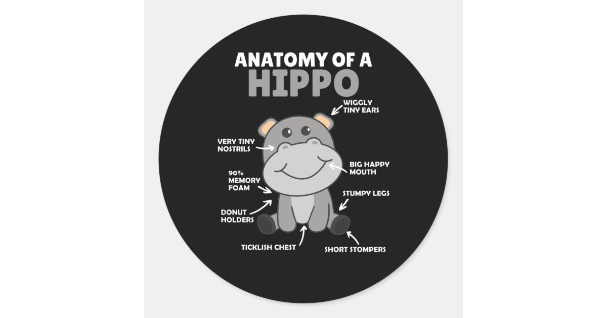 sweet-hippo-statement-anatomy-of-a-hippo-classic-round-sticker-zazzle