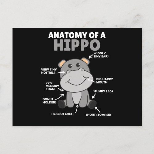 Sweet Hippo Statement Anatomy Of a Hippo Postcard