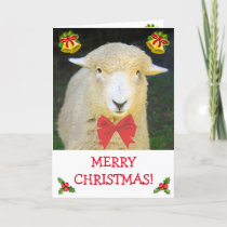 Sweet Holiday Sheep & Bow Tie Christmas Card