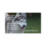 Sweet Husky Business Card