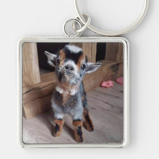 SWEET "KID" (BABY GOAT) KEYCHAIN (Front)