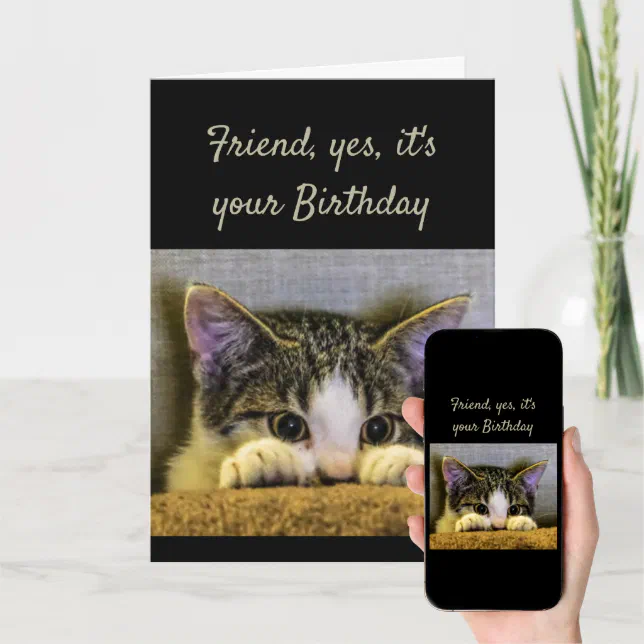 Sweet Kind Caring Friend Birthday Cute Kitten Card | Zazzle