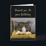 Sweet Kind Caring Friend Birthday Cute Kitten Card<br><div class="desc">Friend,  It's your Birthday Friends as sweet kind and caring as you are hard to find.  I'm so glad we found each other.   Have a Happy Birthday!   Cute kitten looking out.</div>