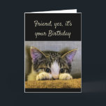 Sweet Kind Caring Friend Birthday Cute Kitten Card<br><div class="desc">Friend,  It's your Birthday Friends as sweet kind and caring as you are hard to find.  I'm so glad we found each other.   Have a Happy Birthday!   Cute kitten looking out.</div>