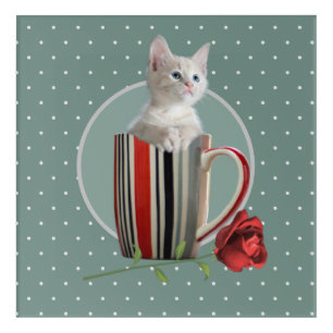 Sweet Kitten and Red Rose Polka Dot Pattern Acrylic Print