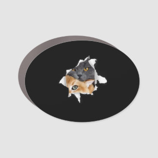 Sweet Kitten Couple | Funny Cat Lover Gift Car Magnet